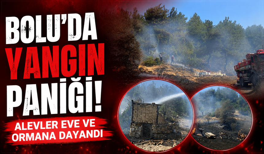 Bolu'da otluk alanda çıkan yangın ormanlık alana sıçramadan söndürüldü