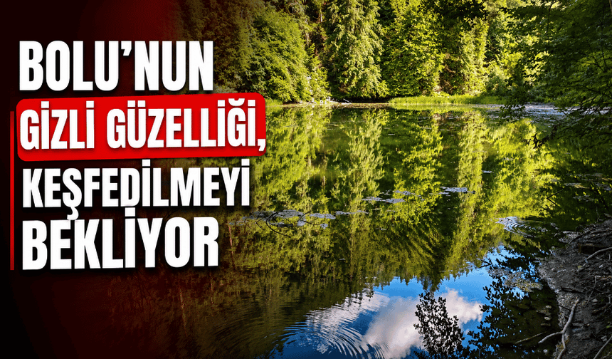 Geyik Gölü ormanların arasında saklı doğal güzelliğiyle dikkati çekiyor