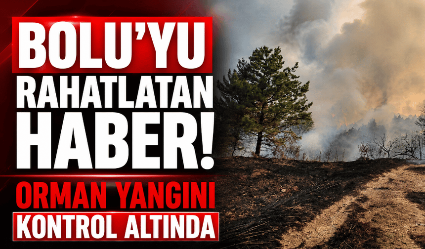 Bolu’yu rahatlatan haber! Orman yangını kontrol altında