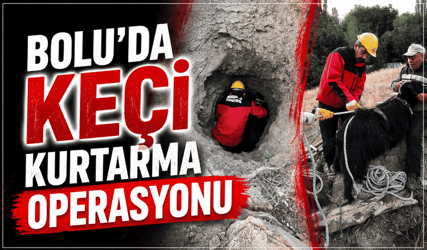 Çukurda mahsur kalan keçiyi itfaiye ekipleri kurtardı