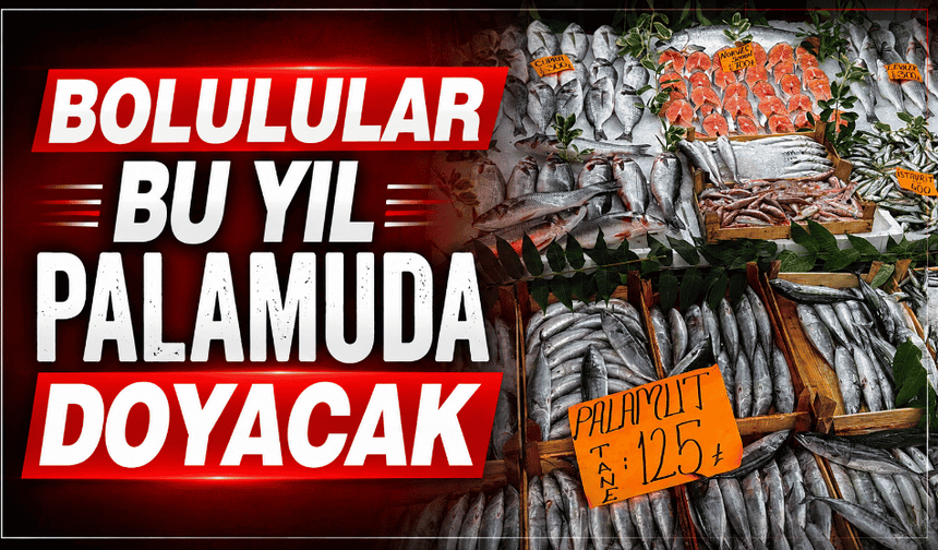 Denizden palamut fışkırıyor