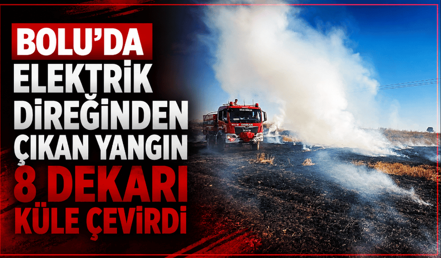 Elektrik direğinden çıkan yangında 8 dekar alan zarar gördü