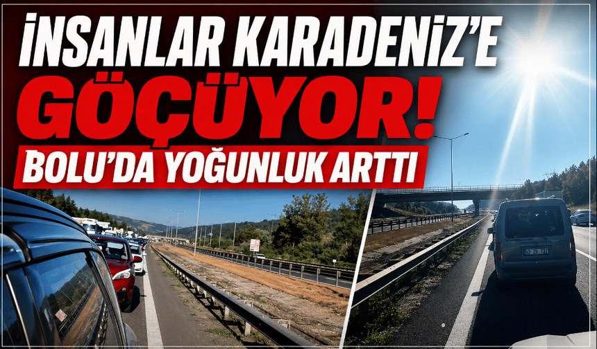 Fındık hasadı başladı, Karadeniz yolunda yoğunluk arttı