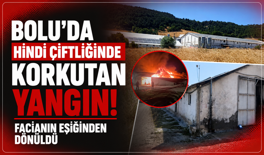 Bolu'da hindi çiftliğinde korkutan yangın: Facianın eşiğinden dönüldü
