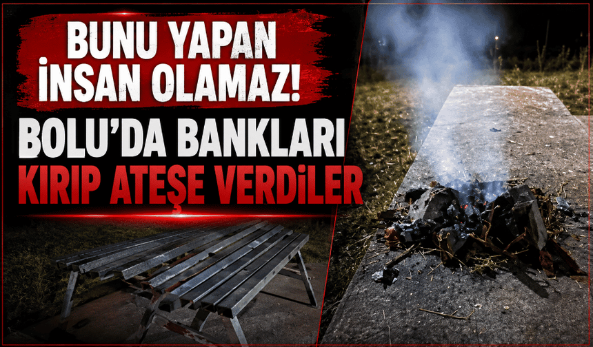 Parkta pes dedirten görüntü! Bankları kırıp ateşe verdiler