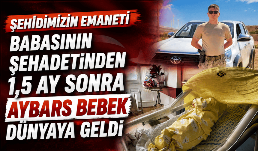 Şehidimizin emaneti: Babasının şehadetinden 1,5 ay sonra Aybars bebek dünyaya geldi
