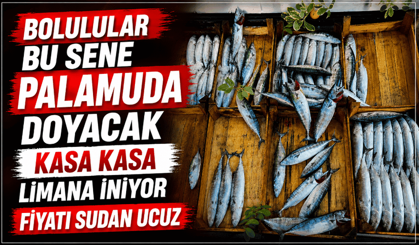 Tezgahlarda palamut bolluğu yaşanıyor