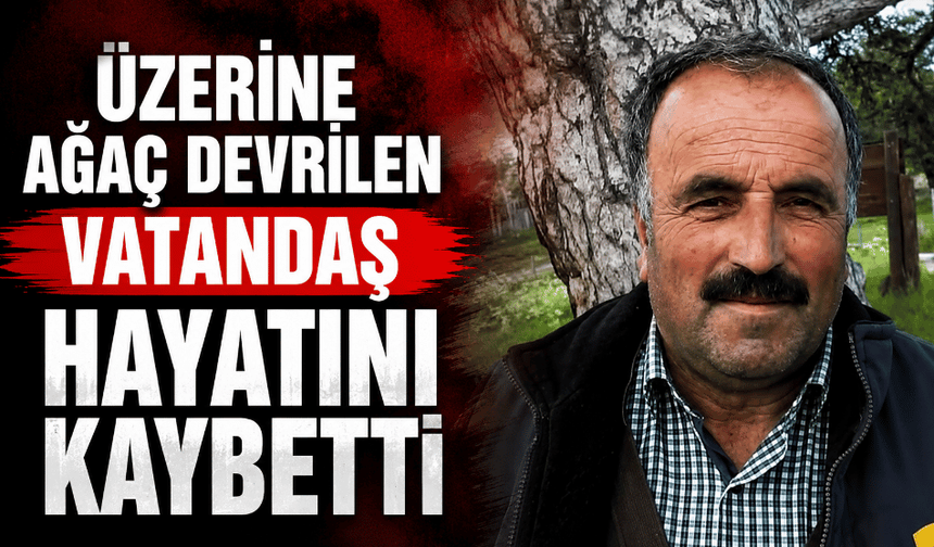 Üzerine ağaç devrilen vatandaş hayatını kaybetti