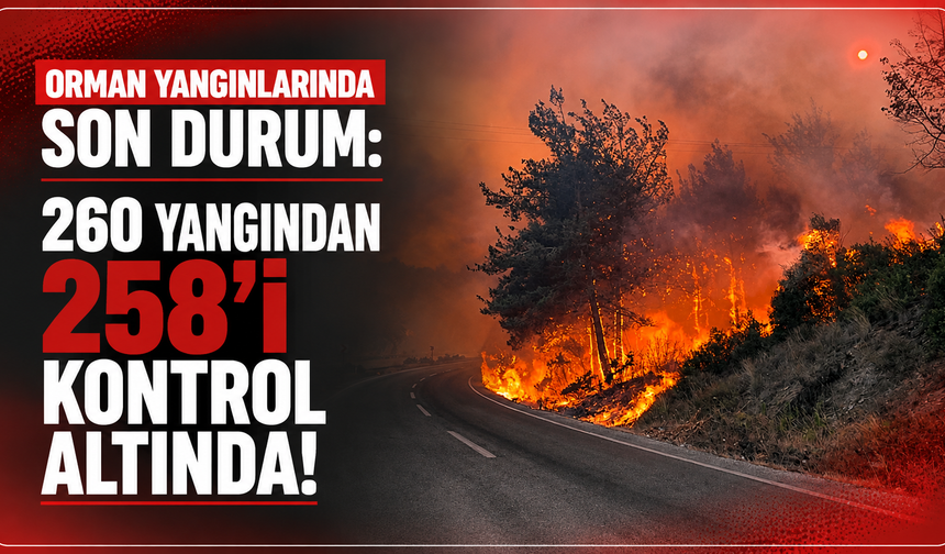 Orman yangınlarında son durum: 260 yangından 258'i kontrol altında!