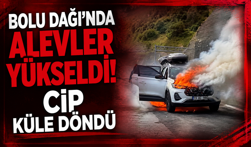 Cip Bolu Dağı Tüneli girişinde alev topuna döndü