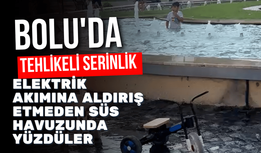 Yasağa ve elektrik akımına aldırış etmeden süs havuzunda yüzdüler