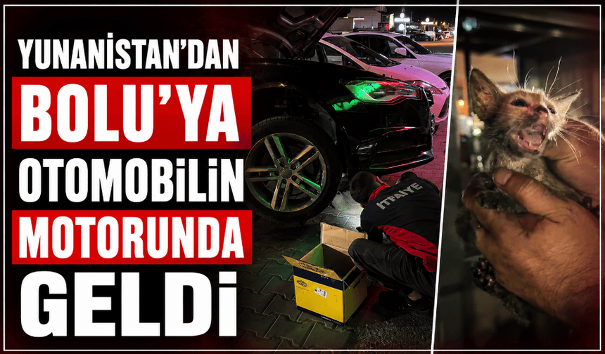 Yunanistan’dan Bolu’ya otomobilin motorunda geldi