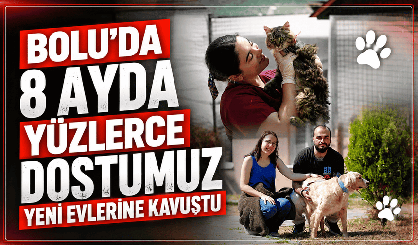 Yüzlerce havyan dostumuz yeni evlerine kavuştu