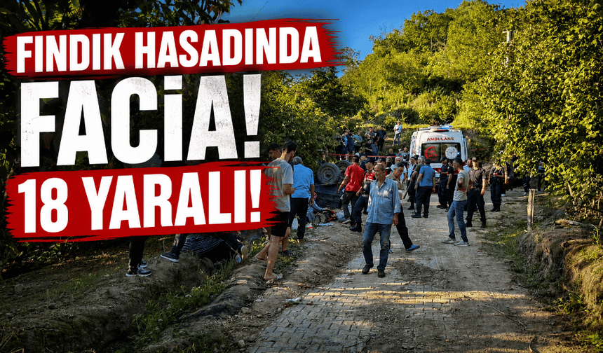 Fındık hasadında facia: 18 kişi yaralandı!