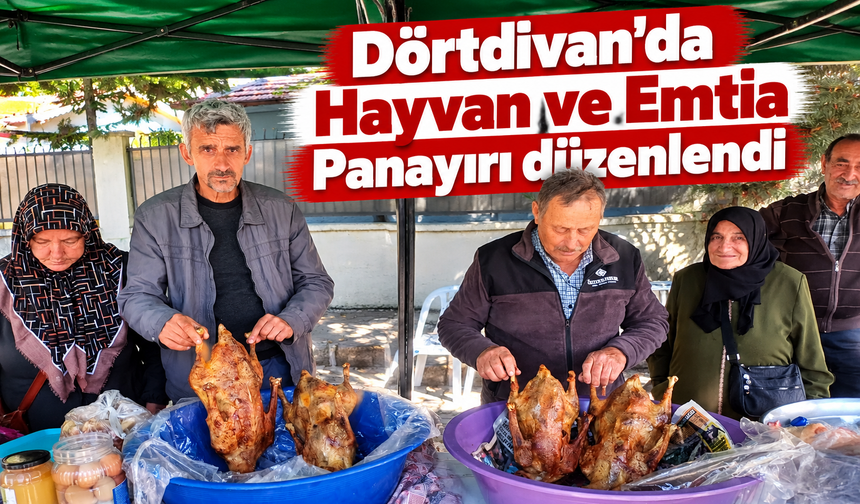 Dörtdivan'da Hayvan ve Emtia Panayırı düzenlendi