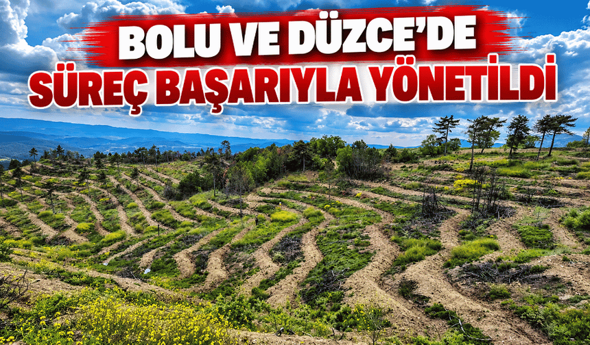 9 ayda orman yangınlarında 7 hektar alan zarar gördü