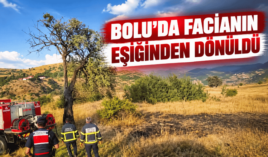Ağaca düşen yıldırım yangına sebep oldu