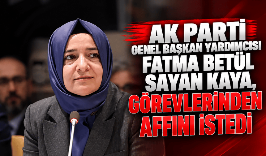 AK Parti Genel Başkan Yardımcısı Kaya, görevlerinden affını istedi