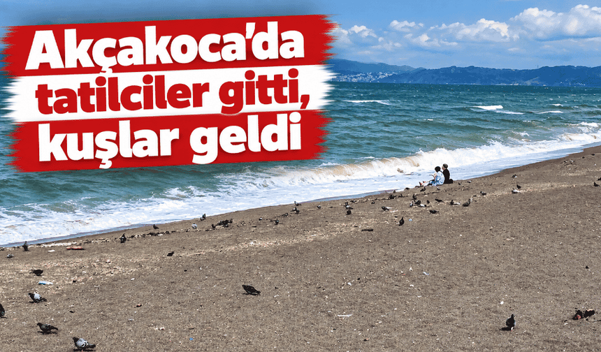 Akçakoca'da tatilciler gitti, kuşlar geldi