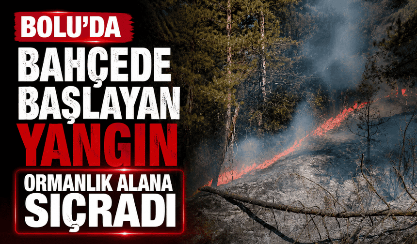 Bahçede başlayan yangın ormanlık alana sıçradı