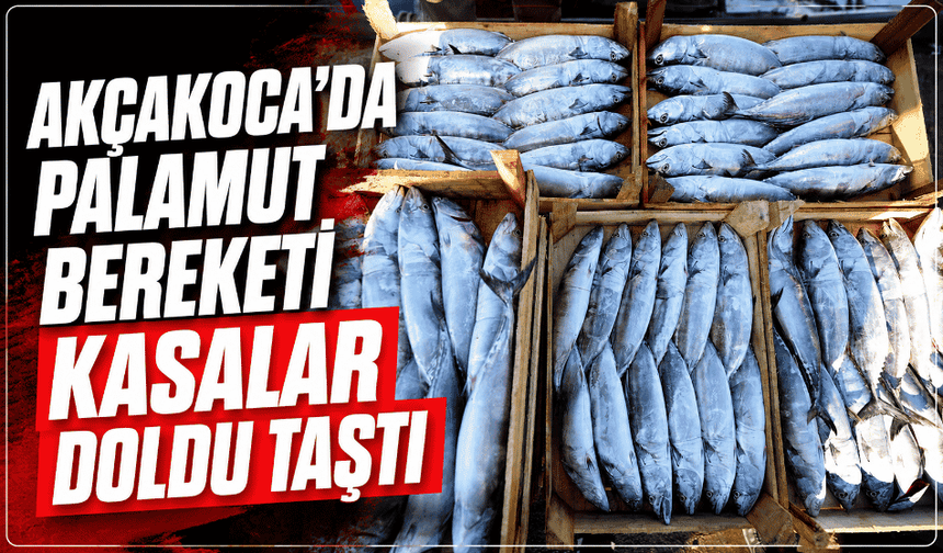 Balıkçılar, Akçakoca Limanı'na bol palamutla döndü