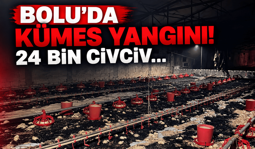 Bolu'da, kümeste 24 bin civciv öldü