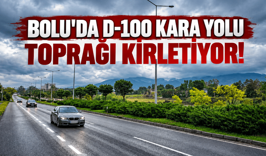 D-100 kara yolu, toprak kirliliğine neden oluyor