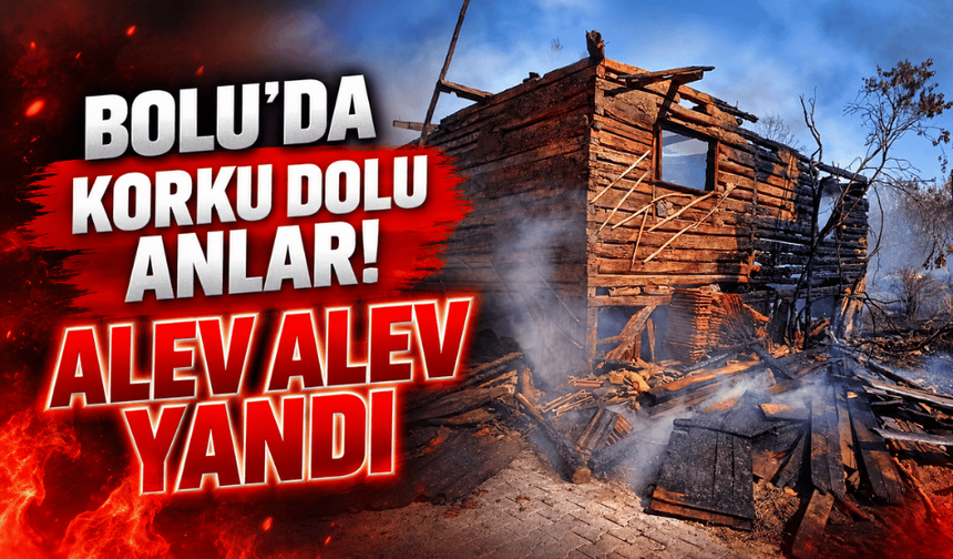 Gerede'de çıkan yangında bir ev kullanılamaz hale geldi