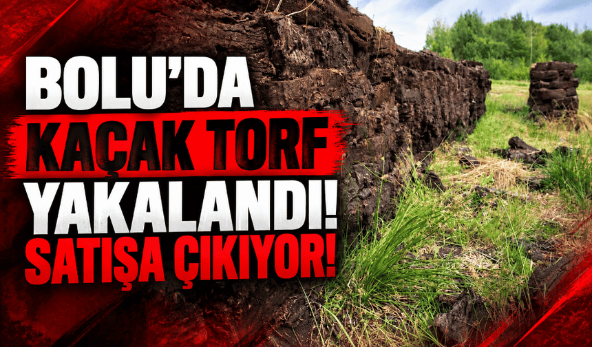 Bolu’da yakalanan kaçak torf, satışa çıkıyor