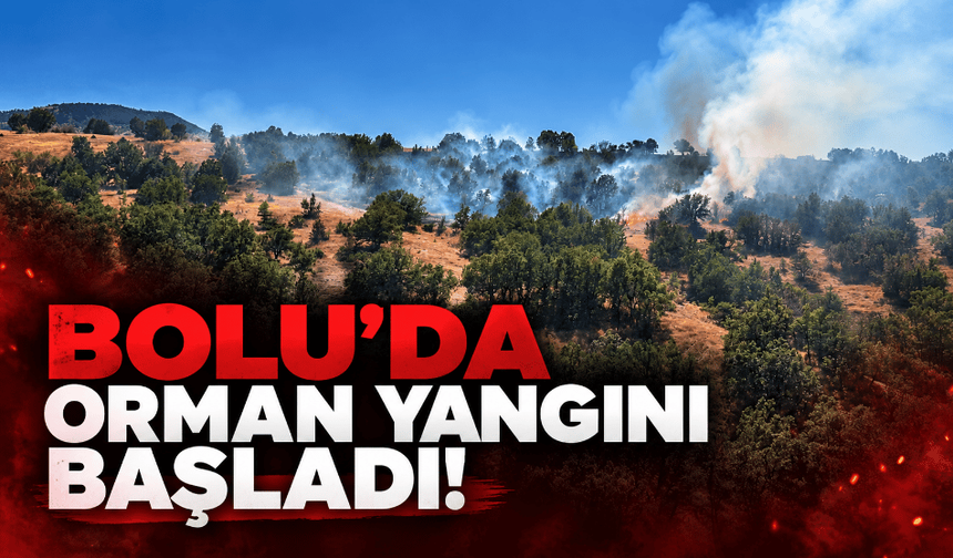 Bolu’da orman yangınına müdahale ediliyor