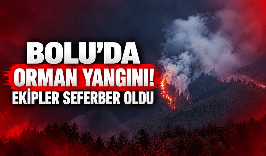 Bolu’da orman yangını: Ekipler müdahale ediyor