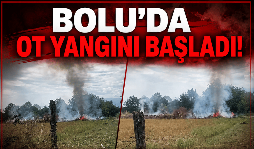 Bolu’da ot yangını başladı!