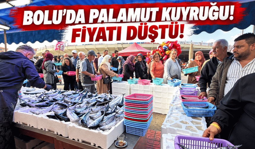 Bolu'daki balıkçılarda palamut kuyruğu başladı!