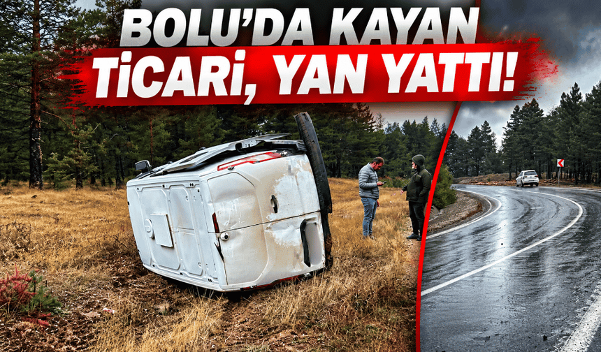 Bolu’da kayan ticari yan yattı