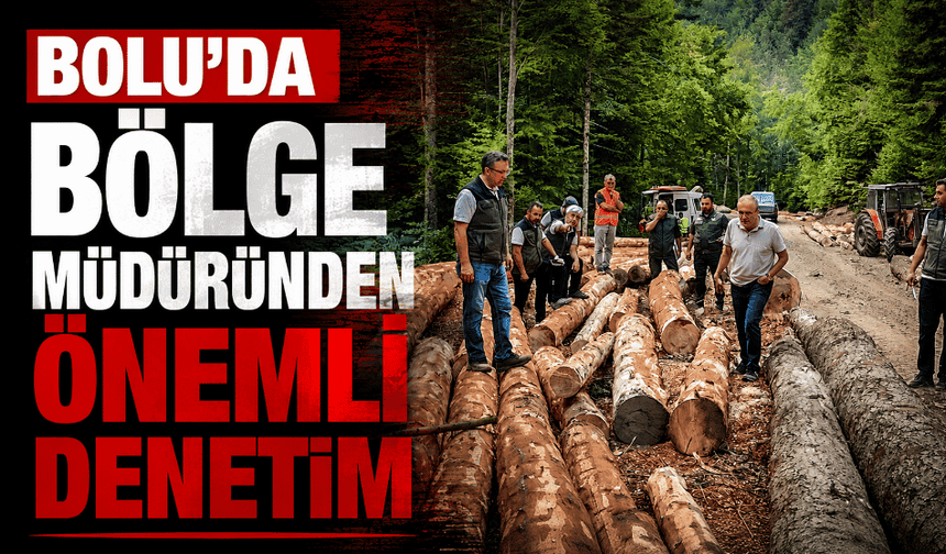 Bolu’da ormancılık faaliyetlerine saha denetimi