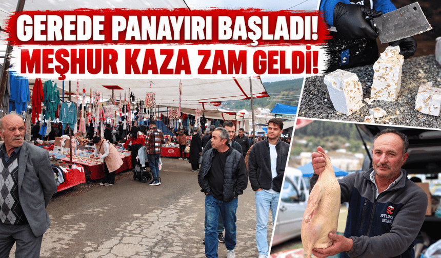 Gerede Panayırı başladı: Meşhur kaz 3 bin 500 lira