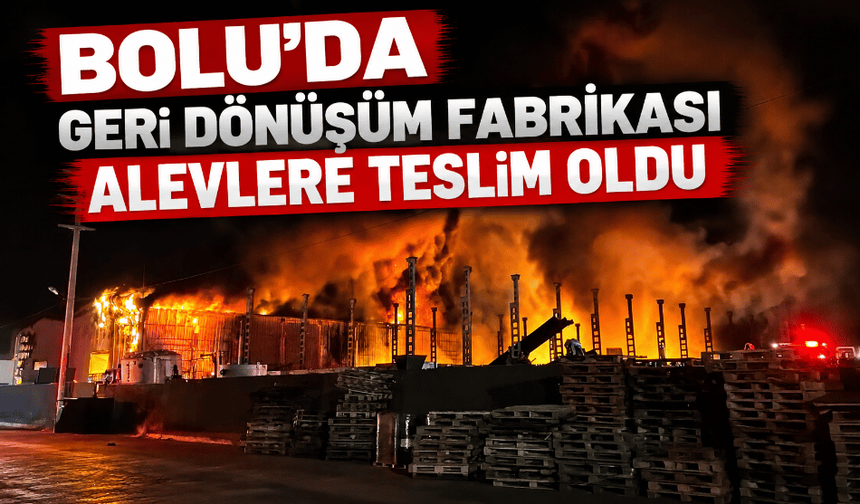 Bolu'da geri dönüşüm fabrikası alevlere teslim oldu