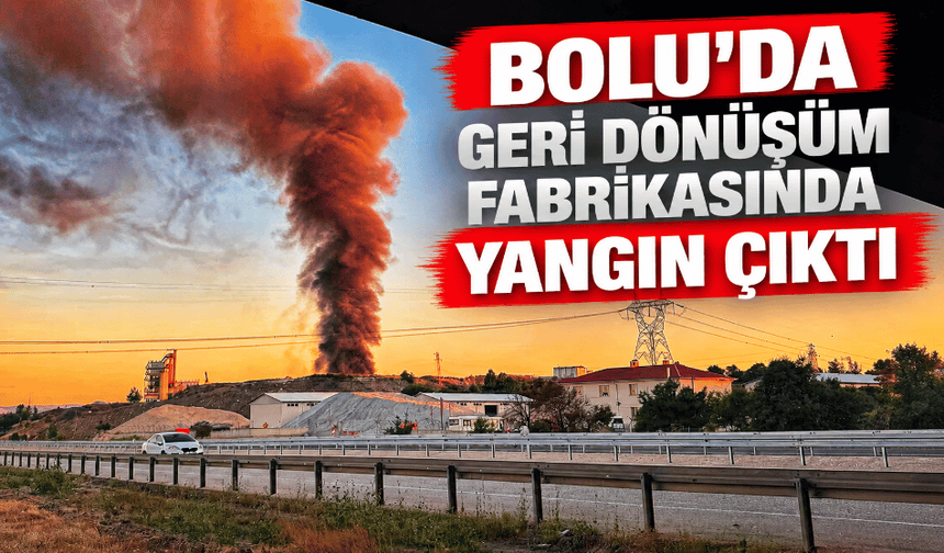 Bolu'da geri dönüşüm fabrikasında yangın çıktı