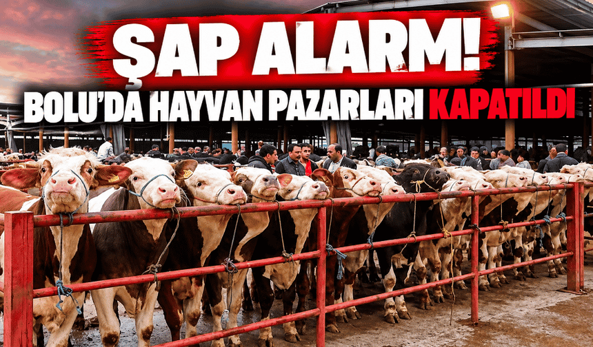 Üreticiler Dikkat! Bolu’da Hayvan Pazarları Kapatıldı