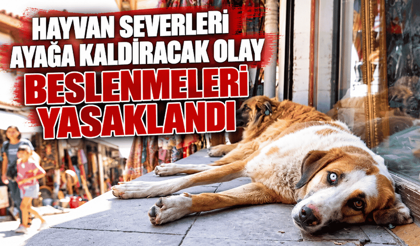 Hayvan severleri ayağa kaldıracak olay beslenmeleri yasaklandı