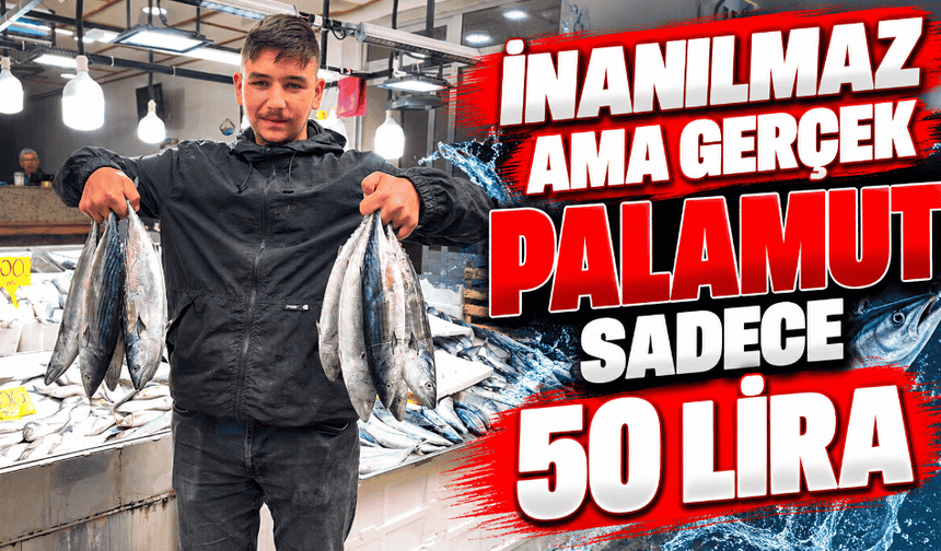 İnanılmaz ama gerçek palamut sadece 50 lira