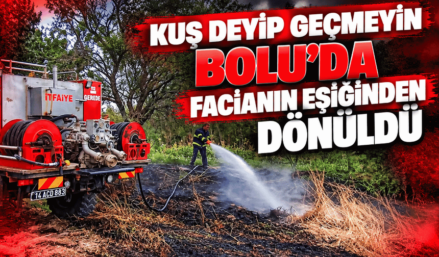 Kuş deyip geçmeyin, facianın eşiğinden dönüldü