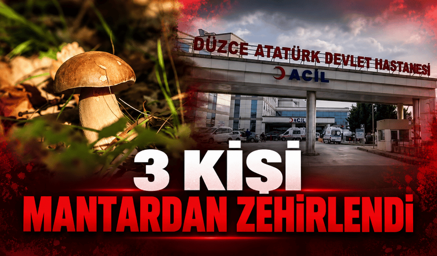 Mantar zehirlenmeleri başladı: 3 kişi etkilendi