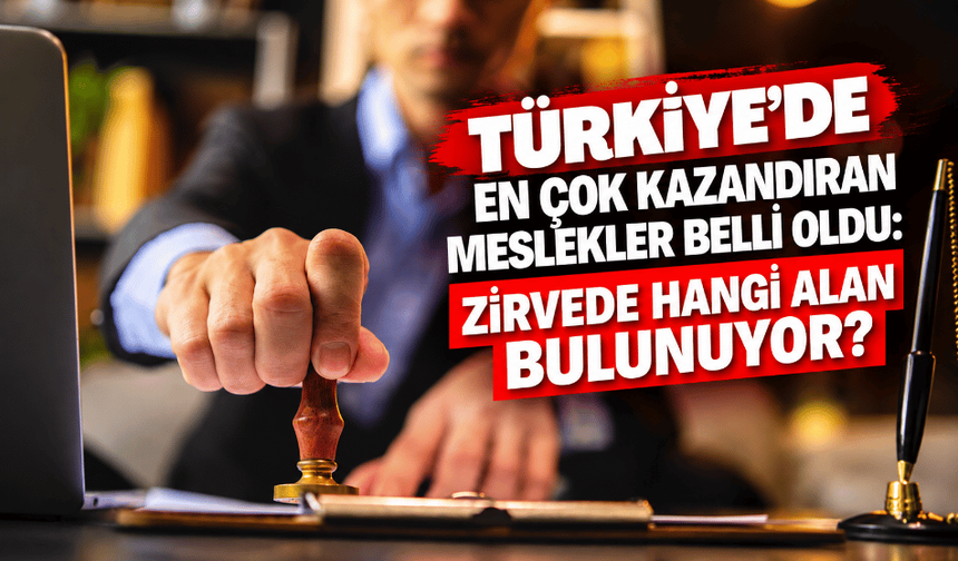 Türkiye'de en çok kazandıran meslekler belli oldu: Zirvede hangi alan bulunuyor?