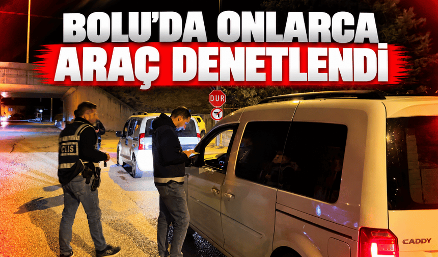 Onlarca araç denetimden geçti