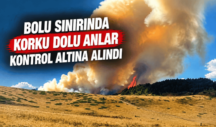 Orman yangını kontrol altına alındı