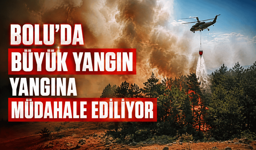 Ot yangını alev topuna dönüştü, ormana sıçradı!