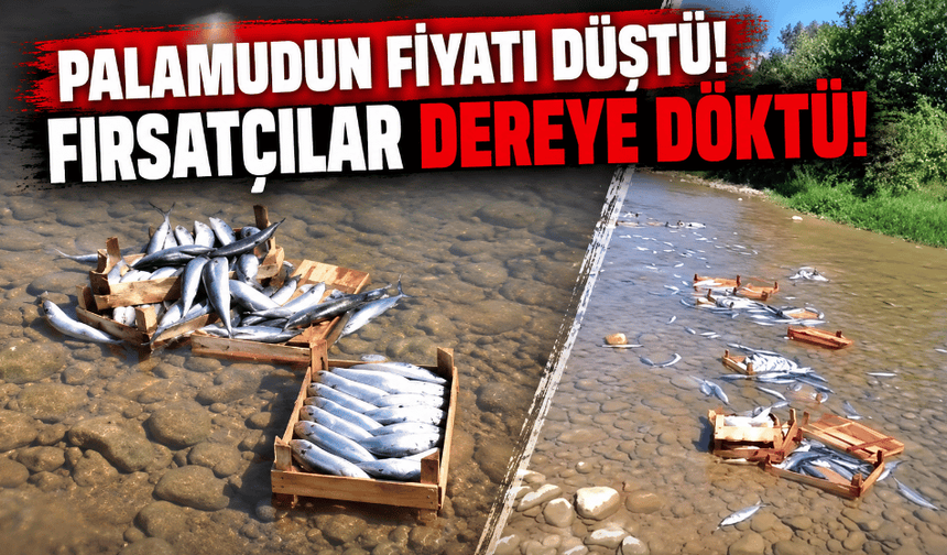 Palamudun fiyatı düşmesin diye yakalananları dereye döktüler!