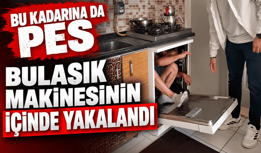 Şeytanın aklına gelmez, bulaşık makinesi içinde yakalandı