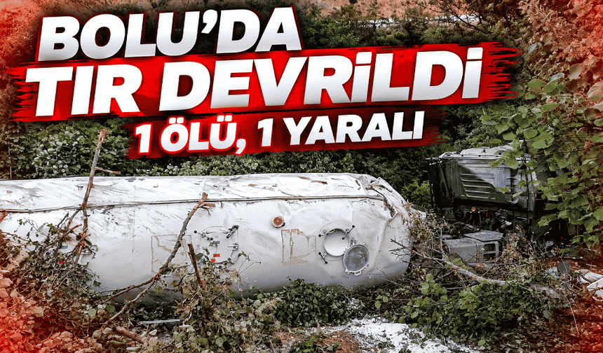 Tır sürücüsü feci şekilde öldü